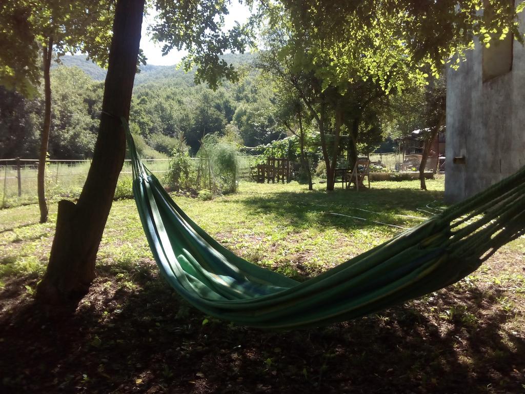 Ca La Iaia Veva Appartement Sant Joan les Fonts Buitenkant foto
